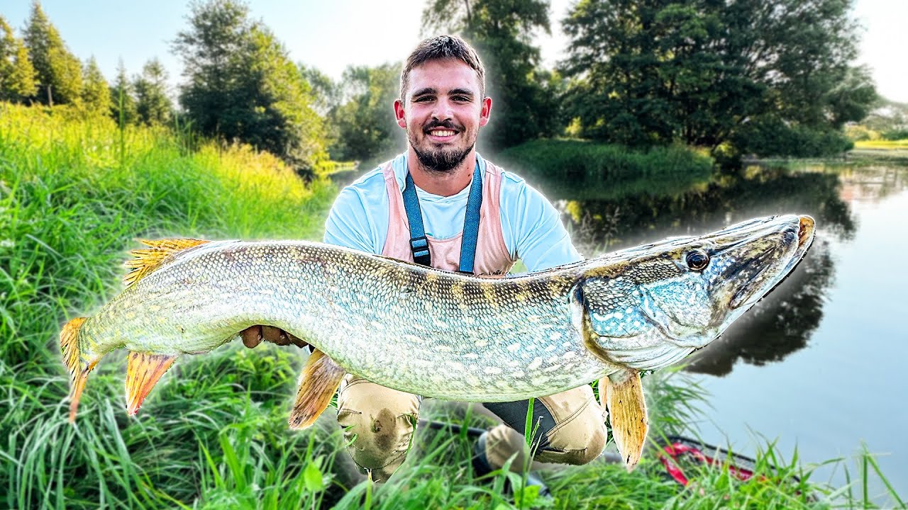 Největší štika chycená z malé řeky v Česku?