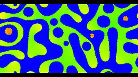 Phase separation of oil and water in a grid model