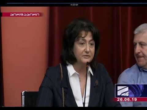 „ივანიშვილი დაცემული ანგელოზია“ - ნატო ჩხეიძე