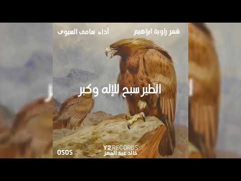سامى السيوى الطير سبح للإله وكبر اشعار راوية ابراهيم