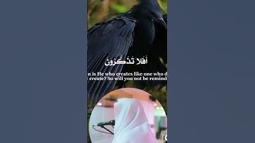 سورة النحل الآية ١٧:١٨ #الشيخ_يوسف_العيدروس