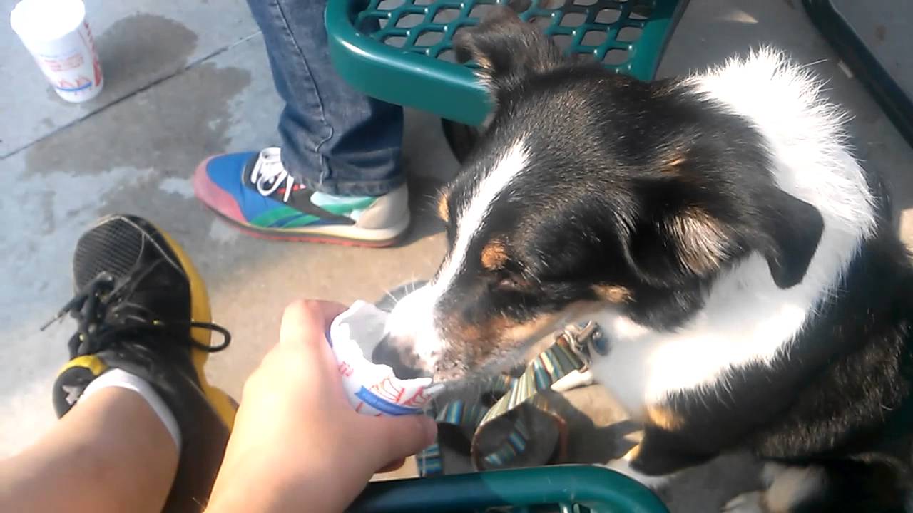 fisher argentina Apollo loves ice