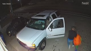 Thieves steal Halloween decor from Albuquerque home days before holiday