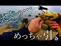 【穴釣り】大物シーズン到来!?釣り開始早々、えげつない引きが…。