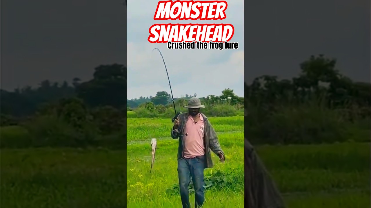 Beast Snakehead Crushed My Frog Lure! | Jiyalla + Hand Fishing Combo