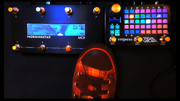 Zoia MIDI Foot Control: Vari-Speed, Repitching, Windowing, and the Power of Long Press Releases