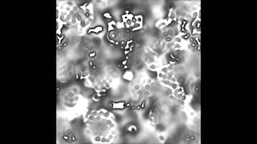 2D Reaction Diffusion (F = 0.014, k = 0.039)