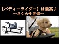 【バディーライダー（Buddyrider）】が最高すぎる♪  〜ライトウェイ：グレイシア〜