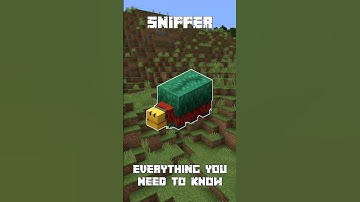 Sniffer - Everything You Need to Know