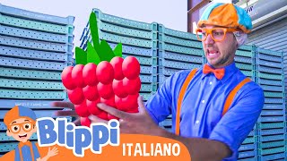 Blippi alla Scoperta dei Lamponi | Blippi | Moonbug Kids - Cartoni Animati