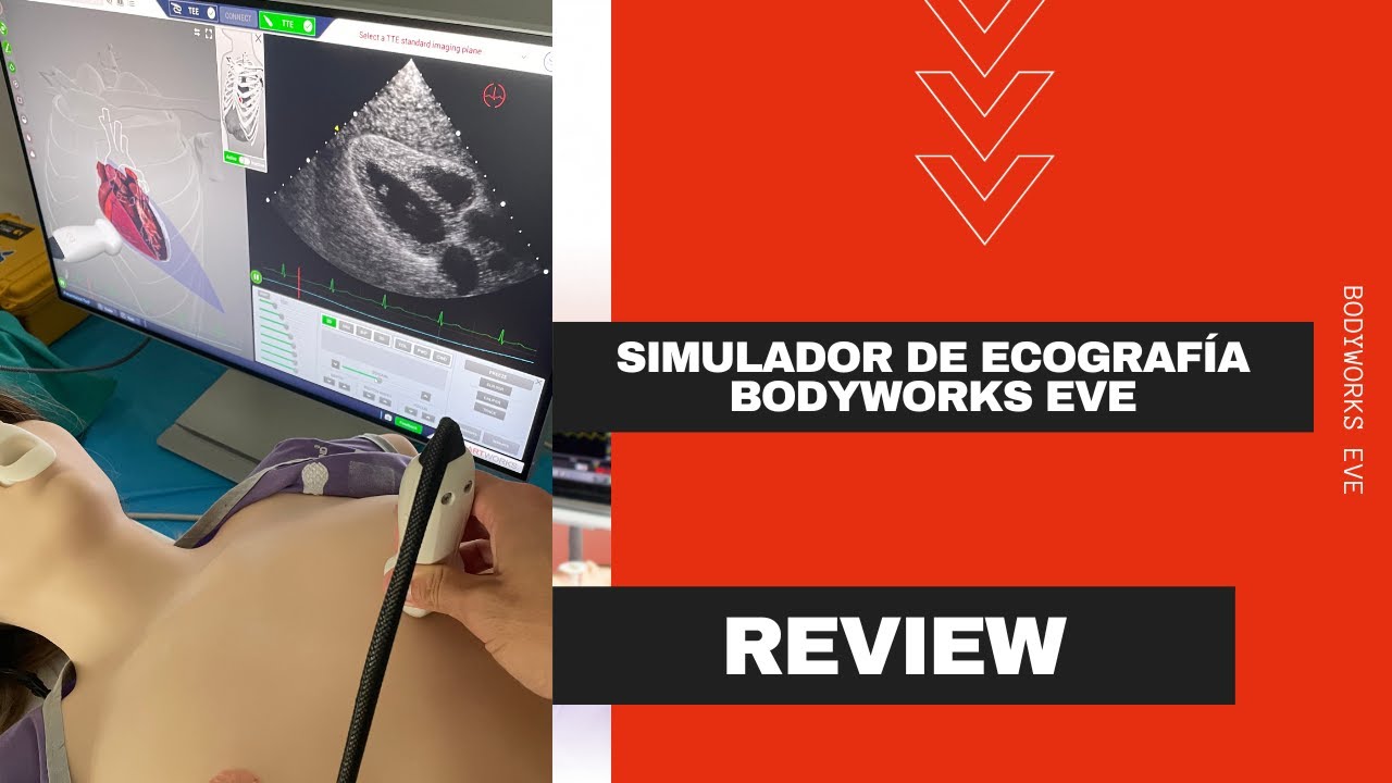 Review. Simulador de ecografía BodyWorks EVE