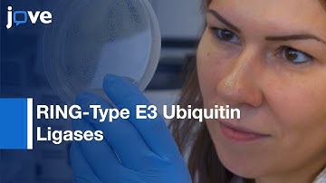 RING-Type E3 Ubiquitin Ligases Functional Characterization | Protocol Preview