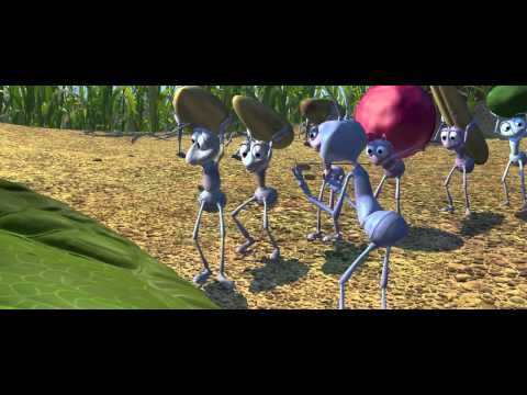 Bugs Life Going Around the Leaf