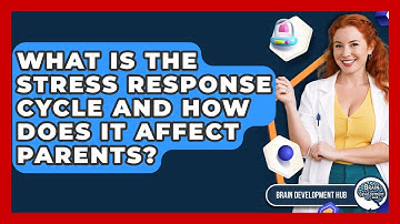 What Is The Stress Response Cycle And How Does It Affect Parents? - Brain Development Hub
