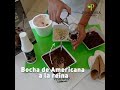 Pehuenia Alimentaria - Cucurucho con salsa Pehuenut y Helado Americana a la Reina