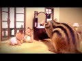 シマリスビッケとシルバニアファミリー4 /Chipmunk Bikke and Carico Critters 4