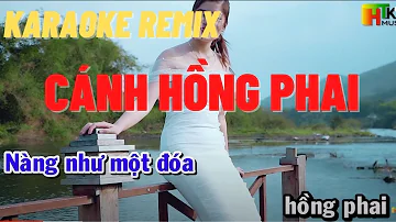 Karaoke Cánh Hồng Phai  Remix | Trung Hiếu Karaoke