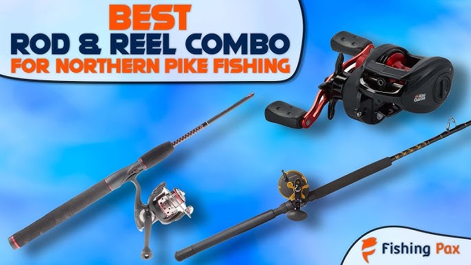 Best Baitcasting Reels For Northern Pike 