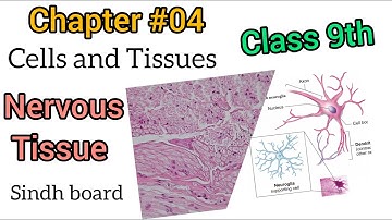 Nervous Tissue|Class 9 Biology lecture|Chapter #04| Sindh board|Study Skills