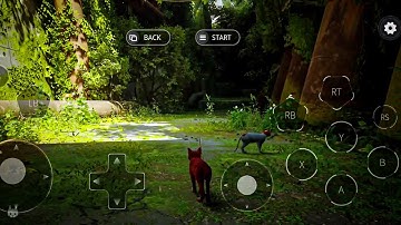 Stray Android Gameplay 🔥 How To Play Stray On Android 🔥