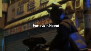 Katy Perry - Harleys in Hawai (slowed tiktok version + lyric + surprise ending)
