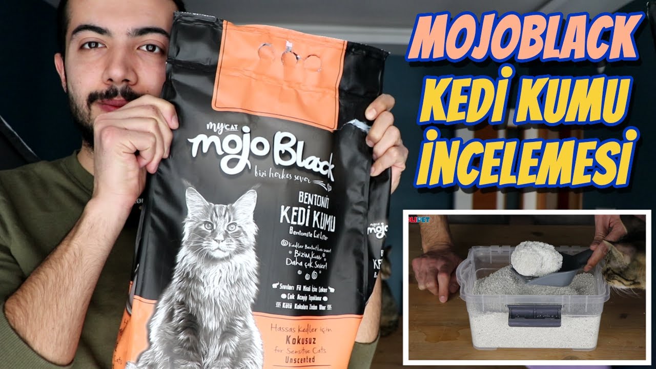 Mycat Mojoblack Kedi Kumu Incelemesi Youtube