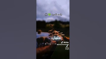 راحه نفسيه القرآن الكريم  تلاوة مؤثره  #اكسبلور #كلجديد #أشترك_لايك_تعليق