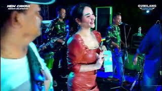 NEW CAKRA MUSIC - DENDAM KEBENCIAN - LALA WIDY - ULTAH PELTU SUTRISNO KARANG BENER BAE KUDUS