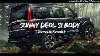 Sunny deol si body re | sunny deol si body re song song💪