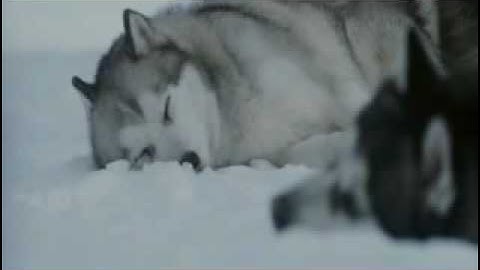 Nightwish - While your lips are still red.flv