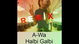 Habib Galbi - [Mr. Worldwide Remix] Resimi
