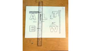 1 pt perspective packet