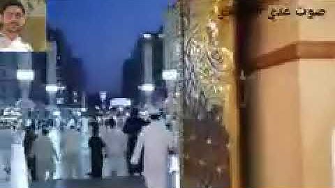 آيات الصيام بصوت القارئ عدي محمد المحمدي