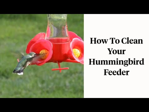 How to Clean