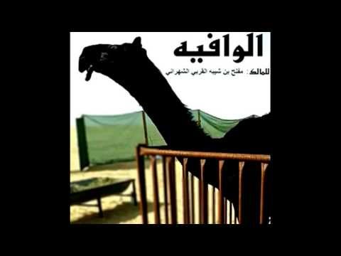 الوافية فردية مفلح بن شيبه القربي الشهراني