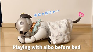 寝る前にアイボと遊び  心と体を労わる夜 Playing with aibo before bed