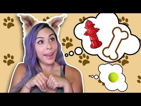 Online dating video cats