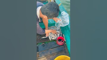 Nổi khổ lớn nhất của người bán mực trứng  #haisan #phuquoc