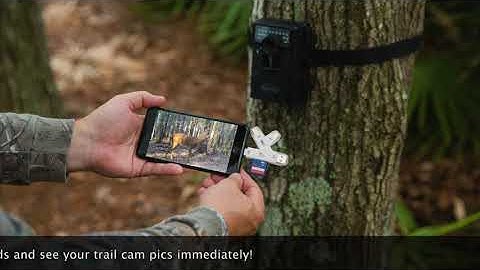 TLO Outdoors TrophyTracker Trail Camera SD Card Reader Viewer for iPhone, Android, USB, Tablets