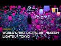 Worlds first digital art museum lights up tokyo japan