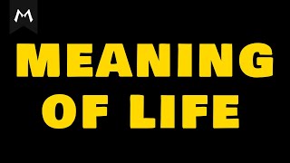 Why Is Everyone Chasing The Wrong Meaning Of Life?