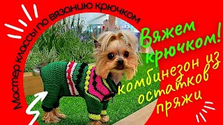 Вяжем крючком комбинезон для собак с закрытыми лапами - Мастер класс | Crochet dog overalls