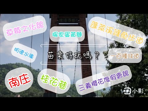 【苗栗好玩嗎？】如何計劃來趟苗栗兩天一夜的輕旅遊呢！｜南庄｜桂花巷｜蓬萊溪護魚步道｜楊家蛋黃麵｜草莓文化館｜明德水庫｜一百種味道｜三義櫻花度假會館｜台灣｜Taiwan