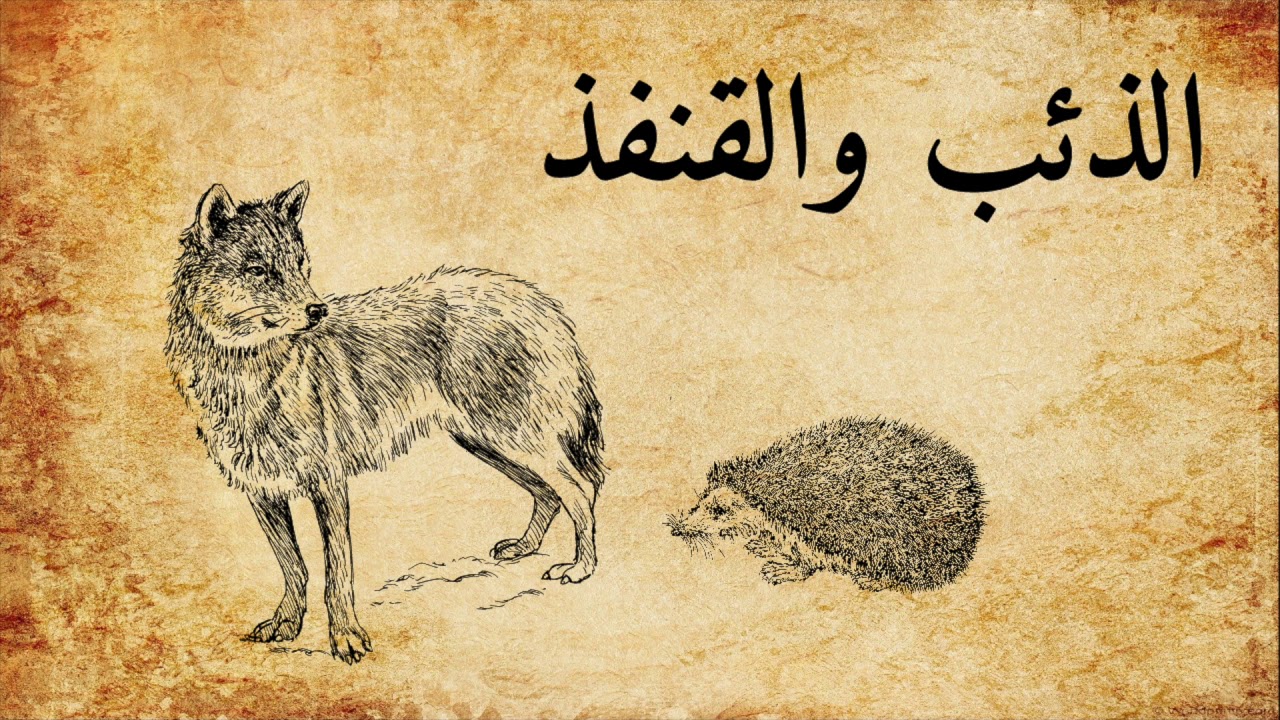 ْحكاية الذئب والقنفذ - الغَارْ حْدَى الغَارْ وَاحْد واسْع الحِيلة وْلَاخُرْ غدَّار