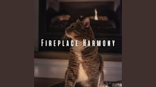 Ambient Feline Harmony