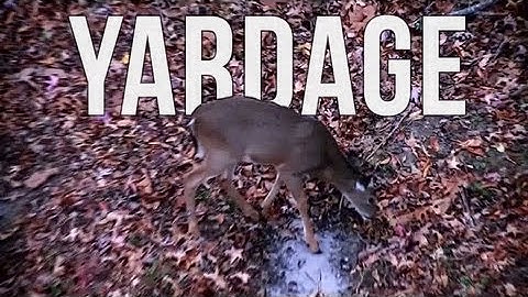 Beginner Deer Hunting Tip: Judging yardage without a rangefinder