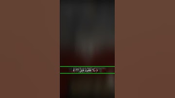 حالات واتساب دينية  ( آيات من الذكر الحكيم)