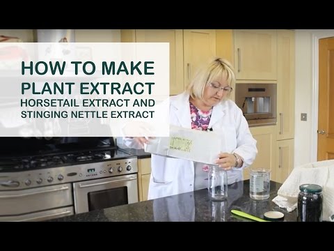 How to Make Plant Extract - Horsetail Extract and Stinging Nettle Extract