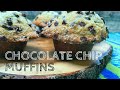 How To Make Tim Hortons Style Chocolate Chip Muffins- But BETTER!