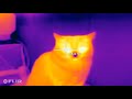 default It is not found any file specified for isarcextract как решить